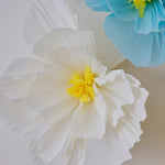 Pastel Tissue Paper Flowers (6 pack)