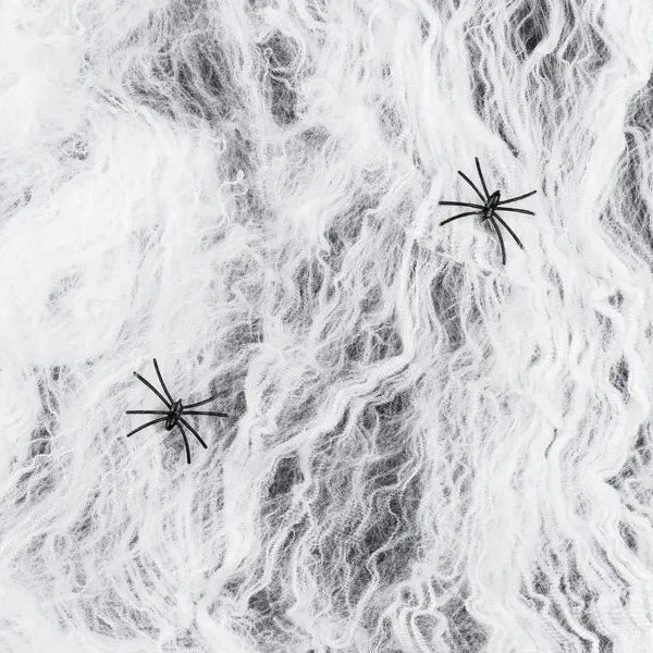 Halloween Large Spider Web
