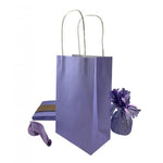 Pastel Lavender Party Bags (5 pack)