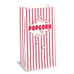 Popcorn Bags (10 pack)