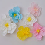 Pastel Tissue Paper Flowers (6 pack)