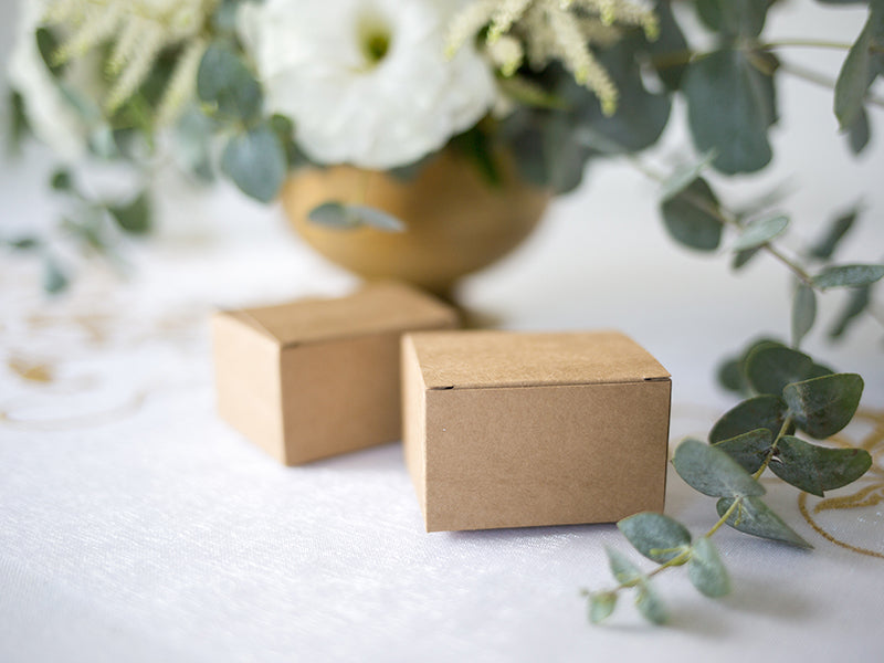 Kraft Favour Boxes (10 pack)