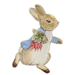 Peter Rabbit Plates (12 pack)