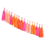 Bright Tassel Garland Kit