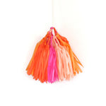 Bright Tassel Garland Kit